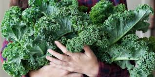 Proven Health Benefits of Kale for Healthy Life