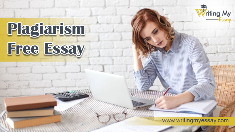 plagiarism free essay